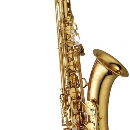 Yanagisawa T-WO1 b